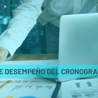 Dominio de desempeño del Cronograma_compressed.pdf