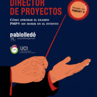 Director de proyectos - Pablo Lledó.pdf