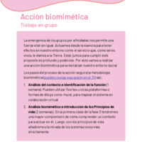 Acción biomimética.pdf